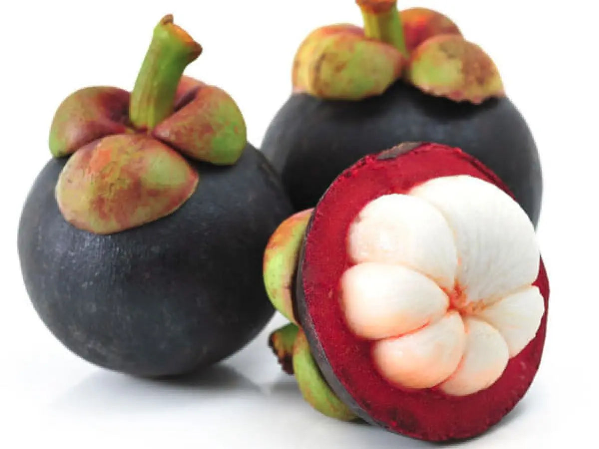 Mangosteen Indian Dailyfruits