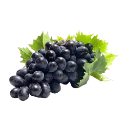 Fresh Black Grapes Dailyfruits