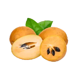 Chickoo Sapota Dailyfruits