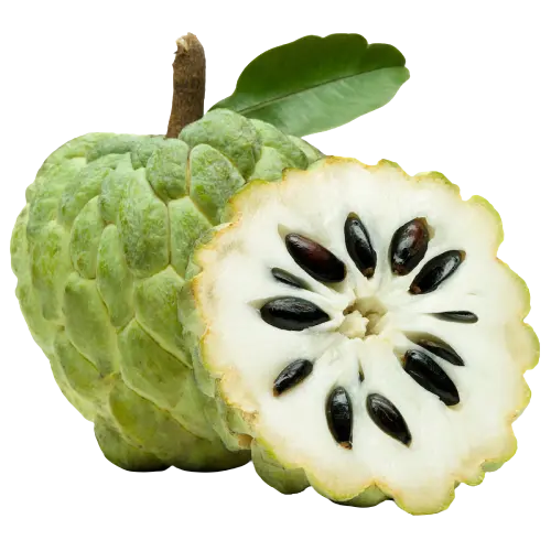 Custard Apple Dailyfruits