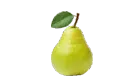 Indian Pear Dailyfruits