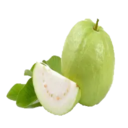 Thai - Guava Indian Dailyfruits