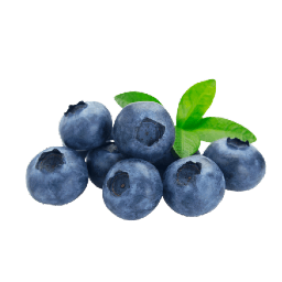 Fresh Blueberry