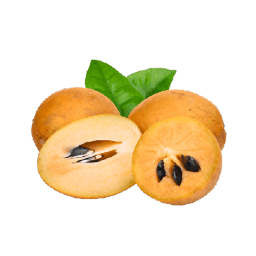 Chickoo Sapota