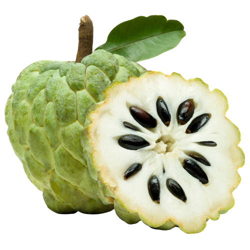 Custard Apple
