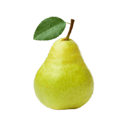 Indian Pear