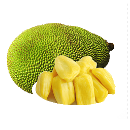 Ripe Fresh Jack-Fruit