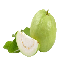 Thai - Guava Indian